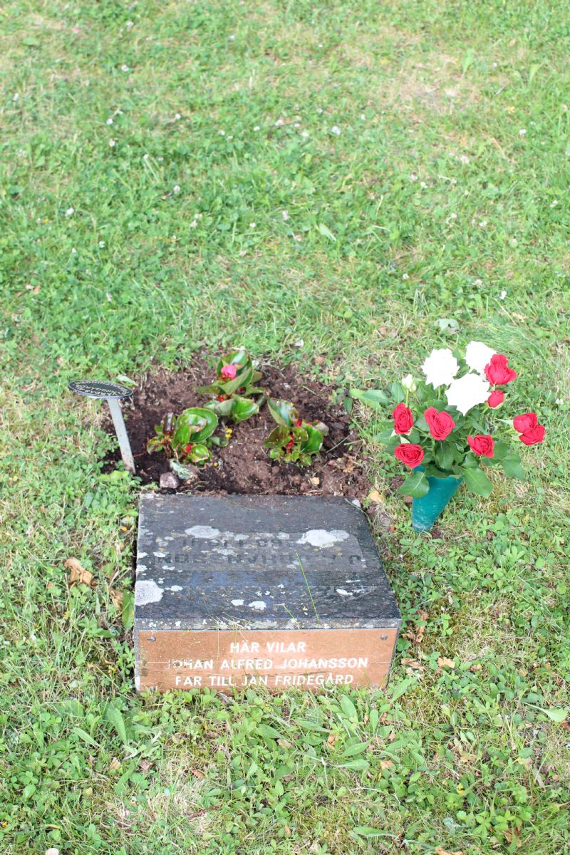 Jan Fridegårds far ladugårdsförmannen Johan Alfred Johansson är begravd på Tillinge kyrkogård.